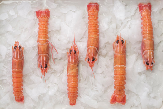 Langoustines