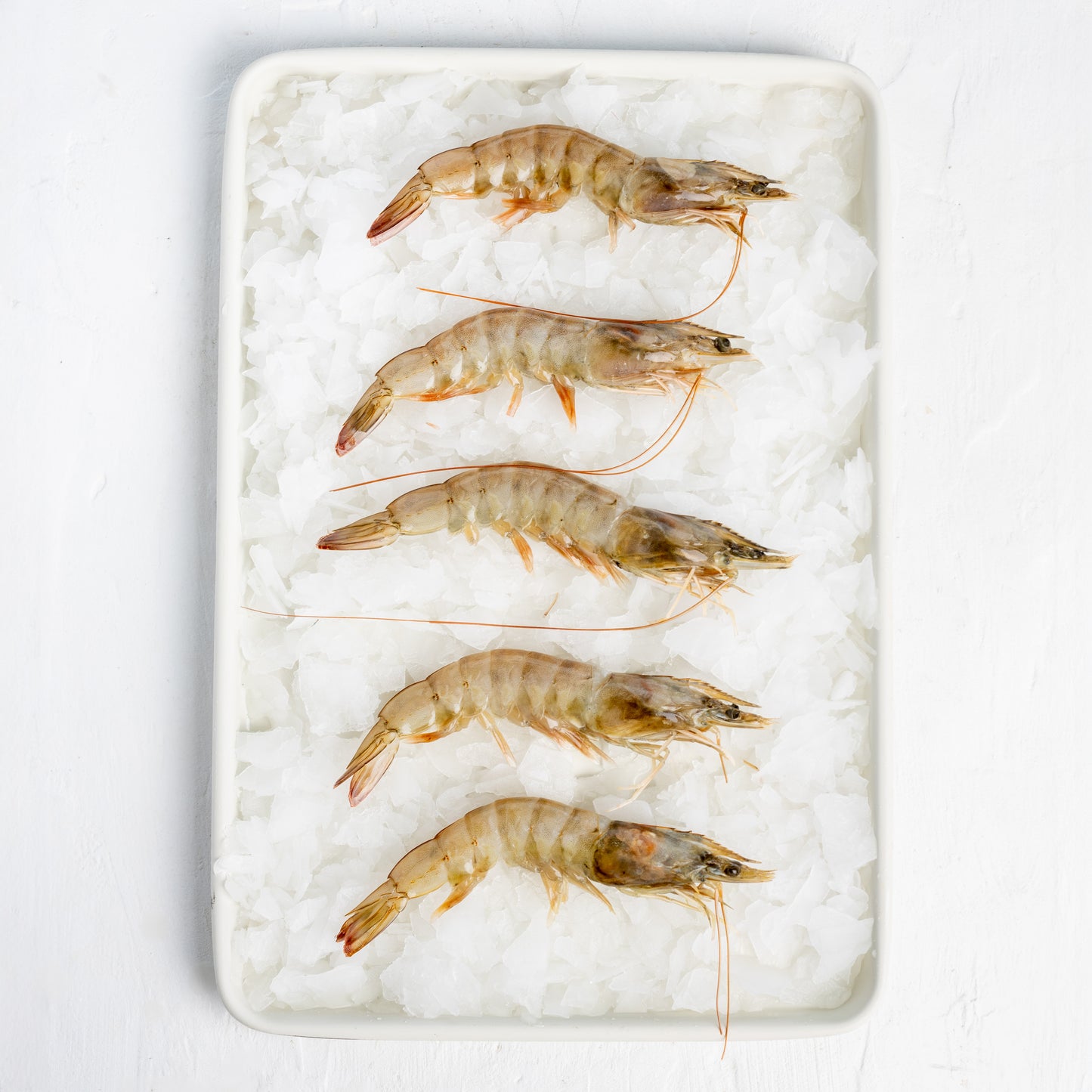 Frozen Prawns