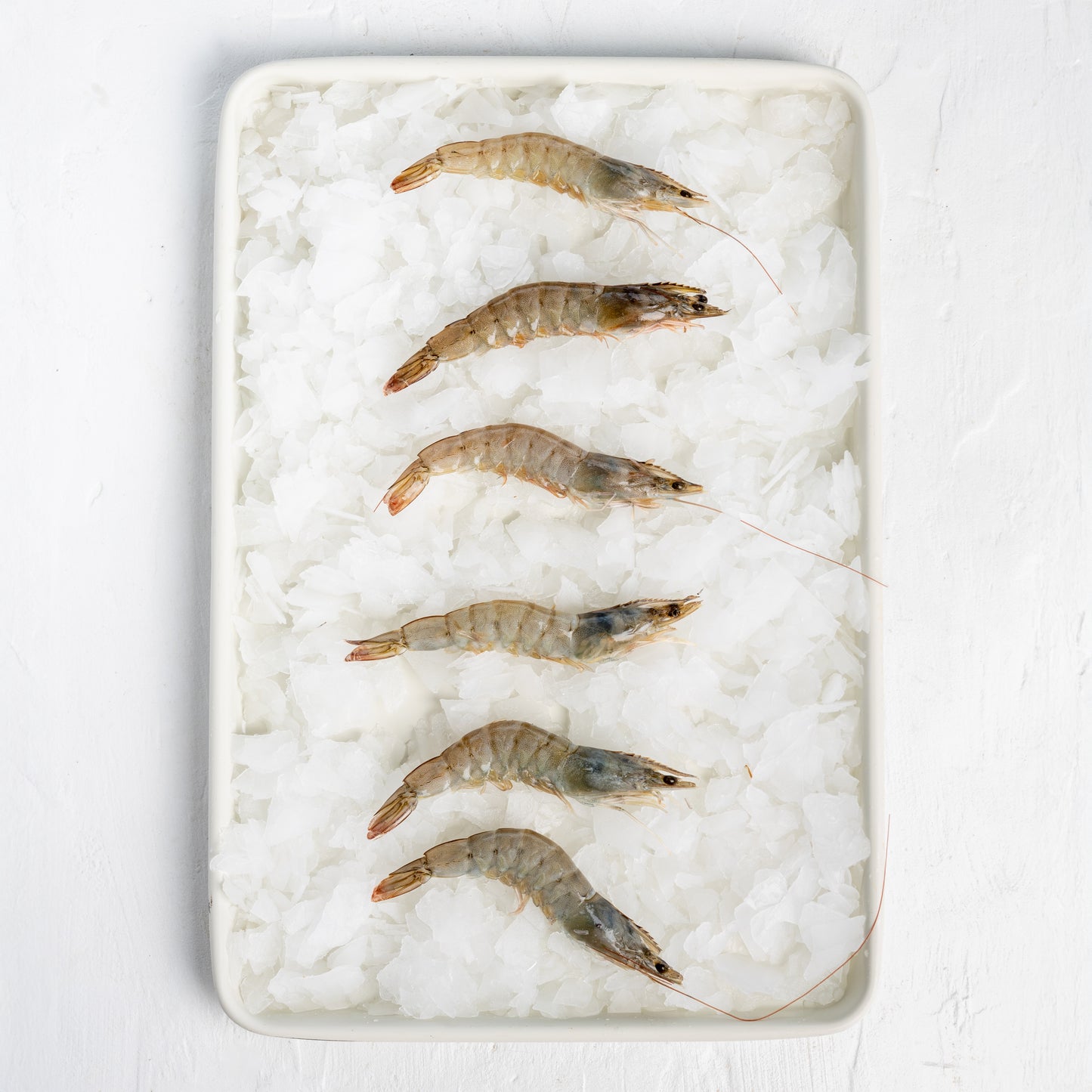 Frozen Prawns