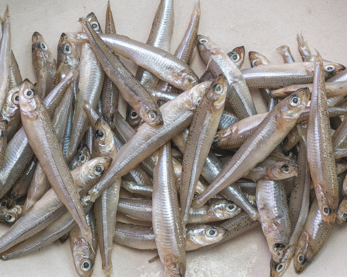 Whitebait