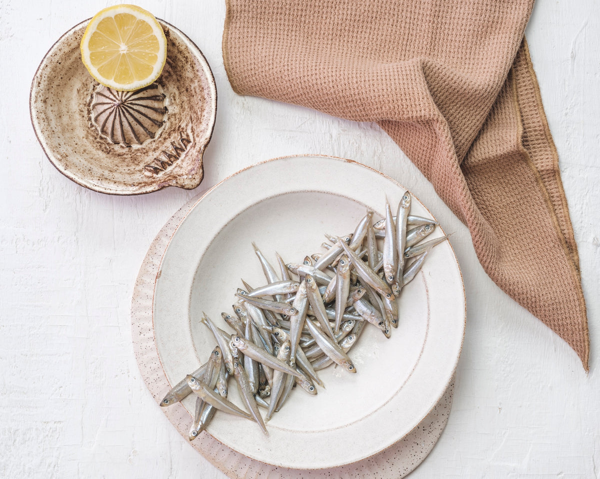 Whitebait
