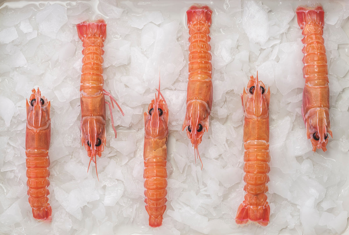 Langoustines