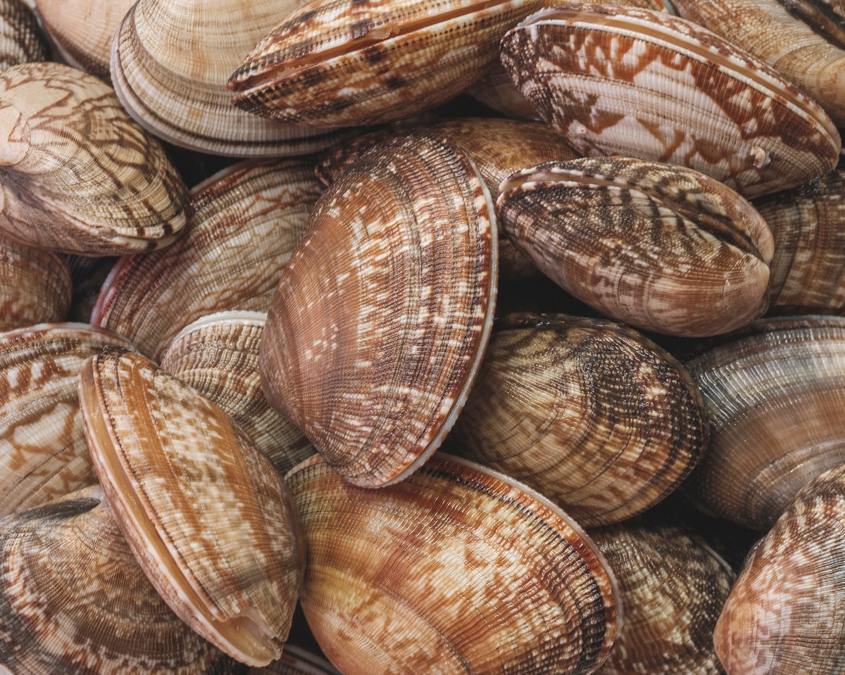 Clams