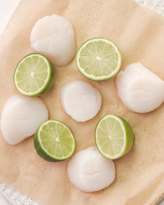 Scallops 10/20