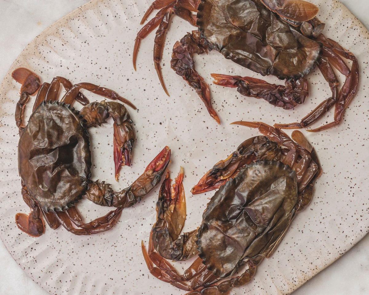 Soft-Shell Crab