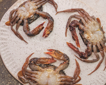 Soft-Shell Crab