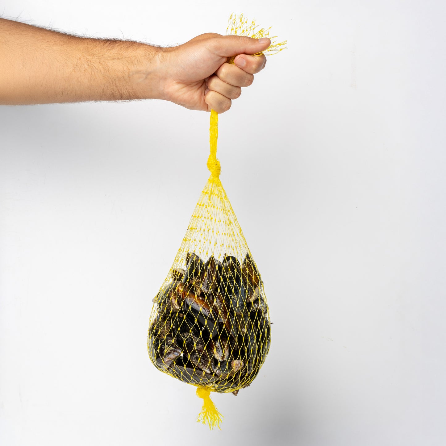 Fresh Mussels (1kg)