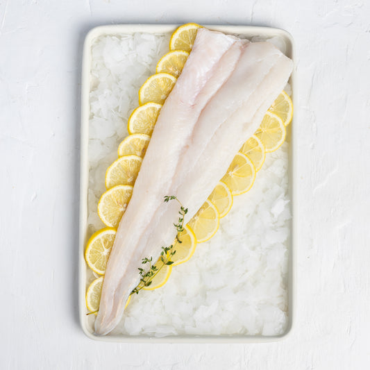 Fresh Hake