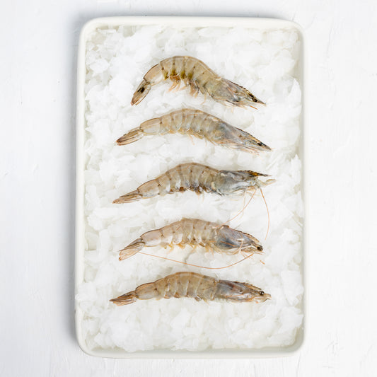 Frozen Prawns