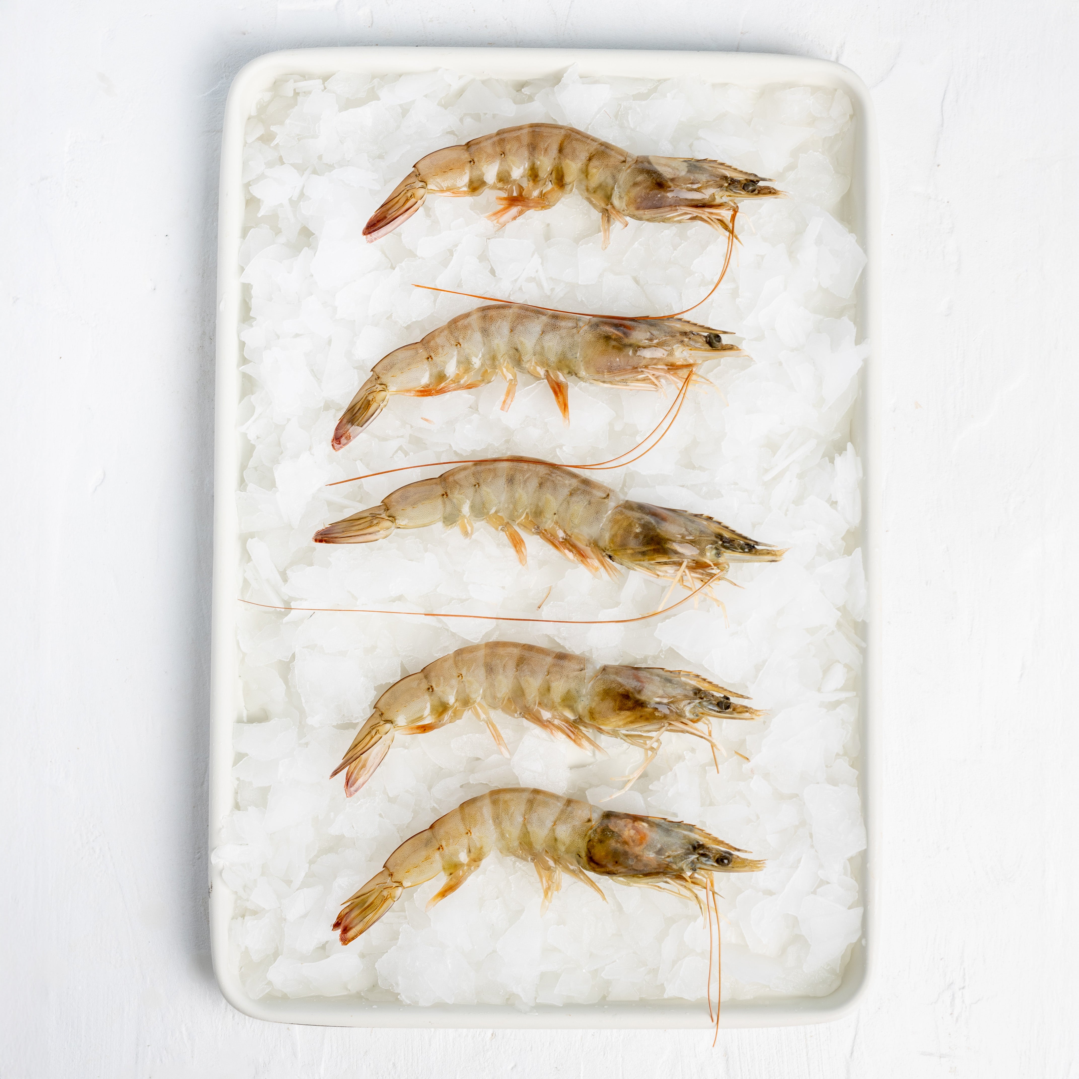 Frozen Prawns
