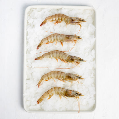 Frozen Prawns