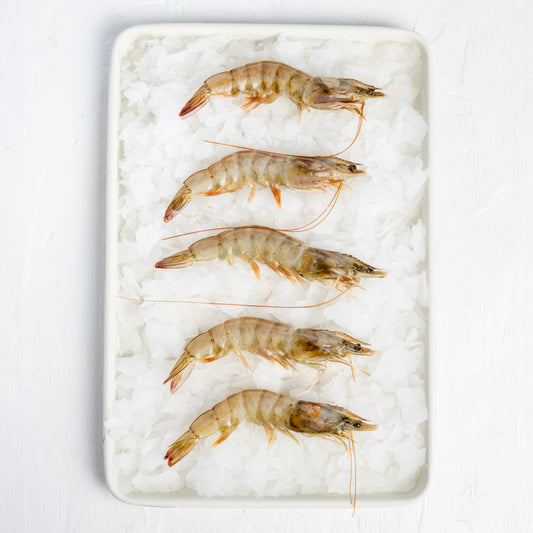 Frozen Prawns