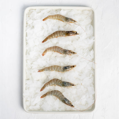 Frozen Prawns