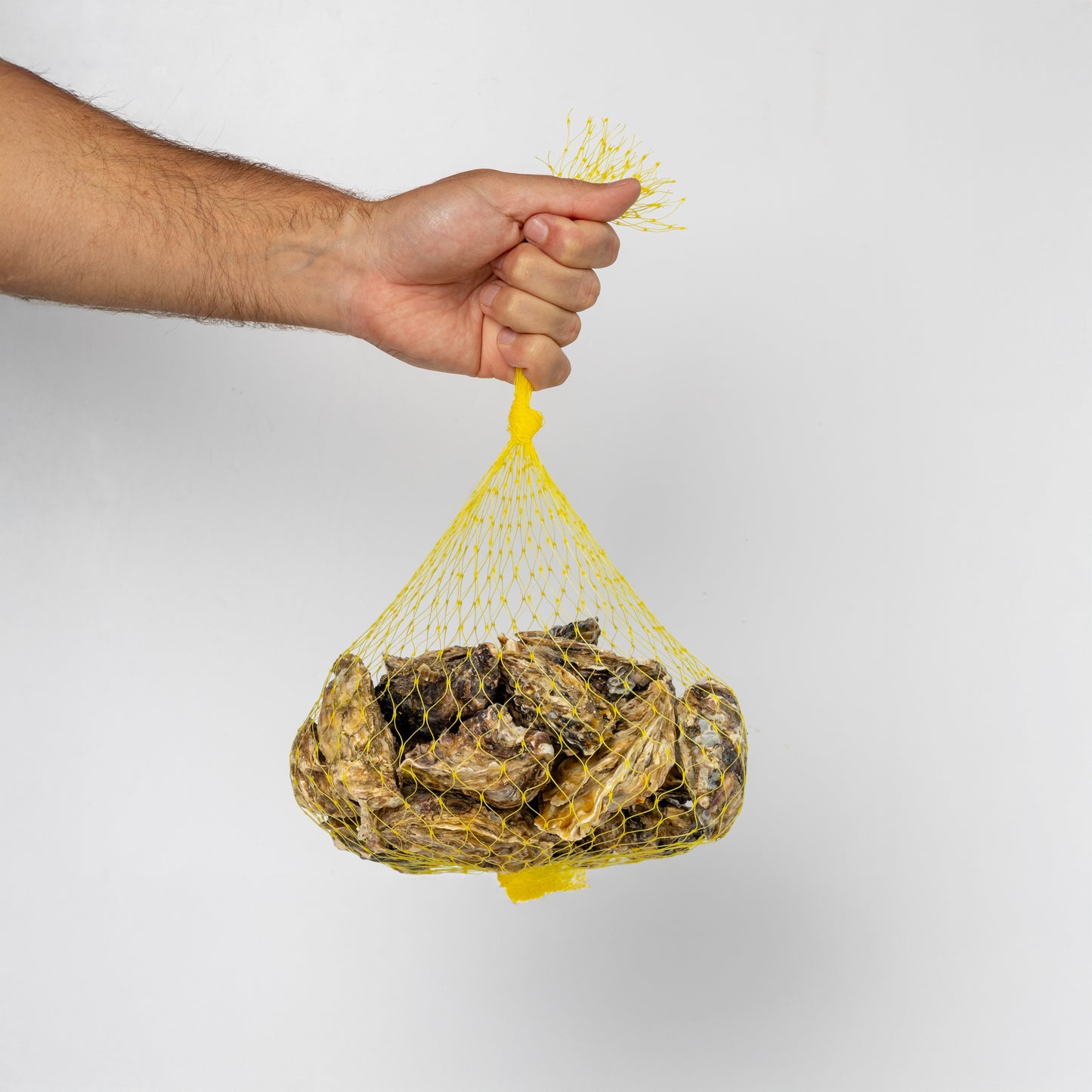 Fresh Oysters (12 per pack)