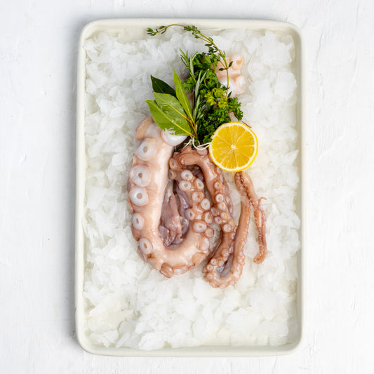 Frozen Octopus Tentacles