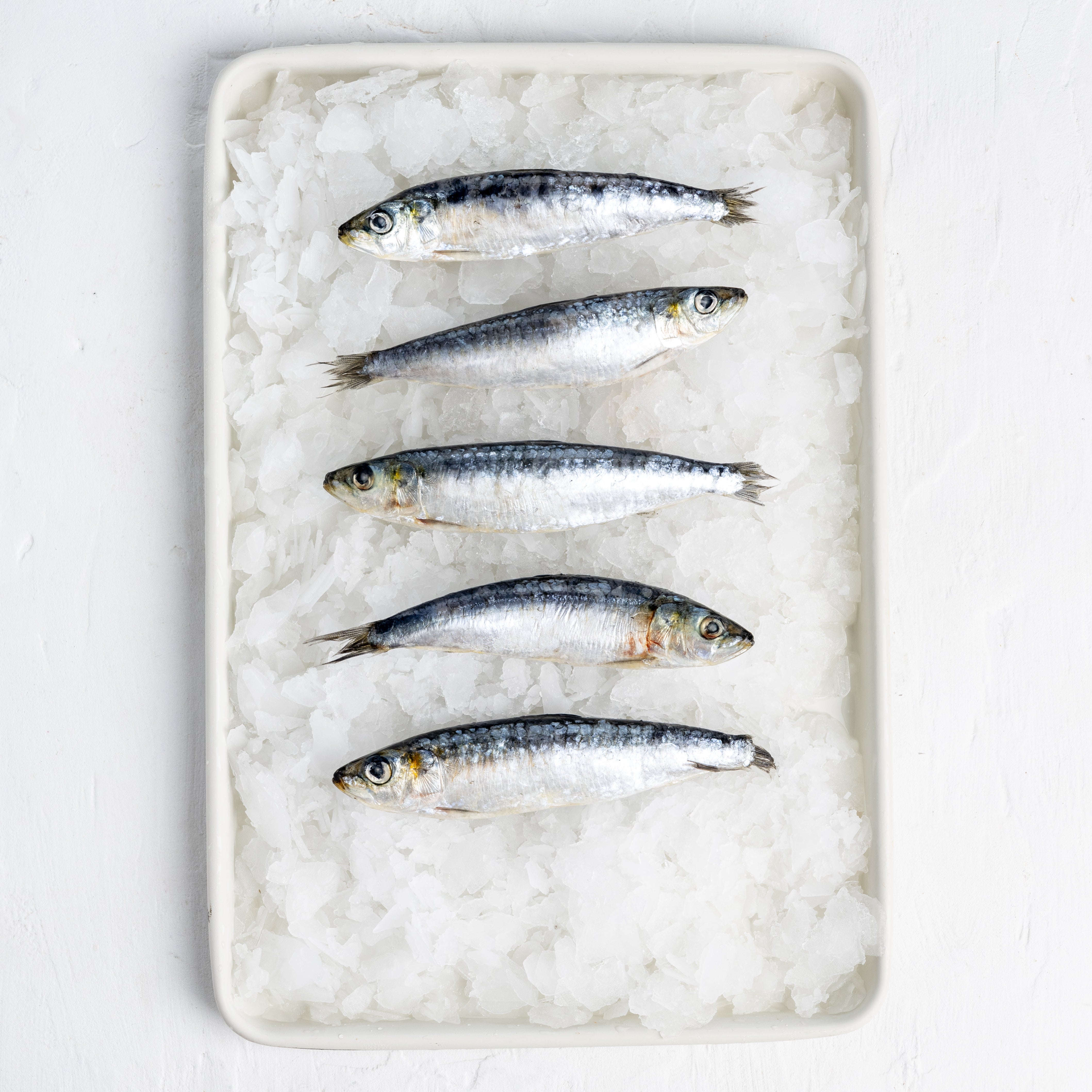 Frozen Portuguese Sardines (800g)