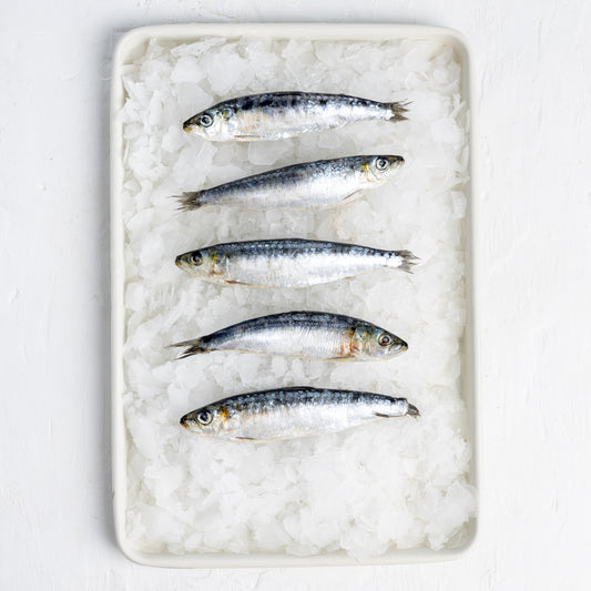 Frozen Portuguese Sardines (800g)