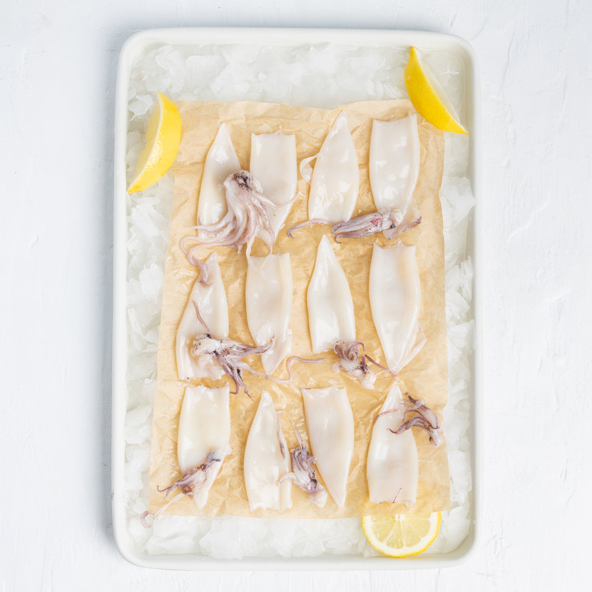 Frozen Cleaned Calamari Patagonica – Southern Cross Seafood Deli