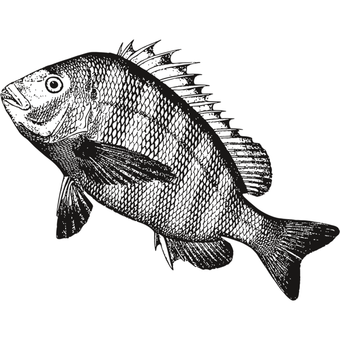 Smoked Fish