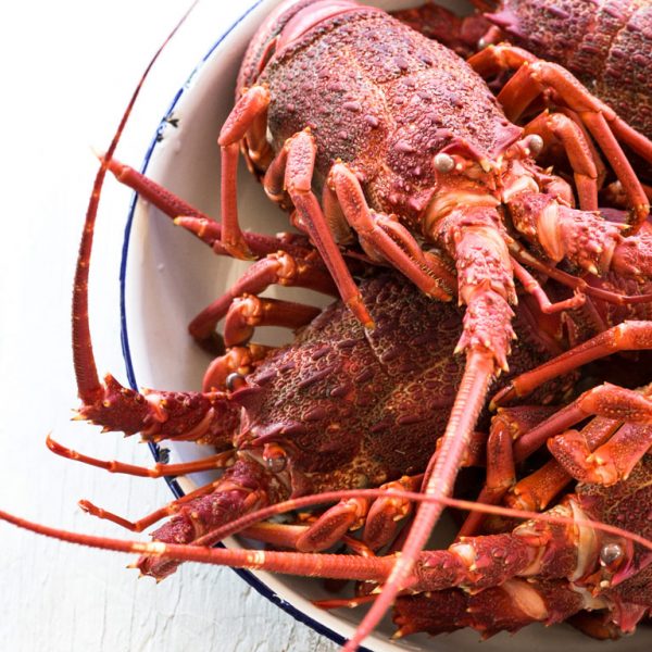 Crayfish Live