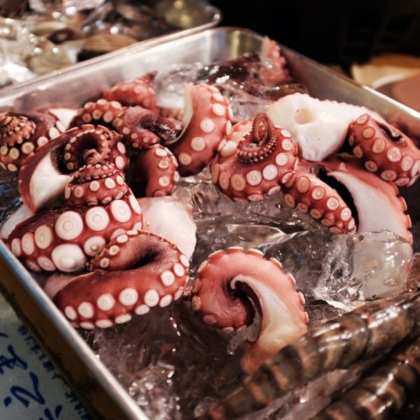 Octopus