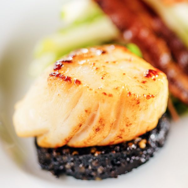 Scallops USA 10/20