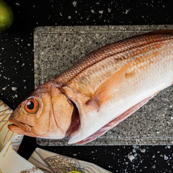 Silver fish