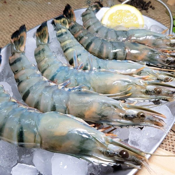 Prawns